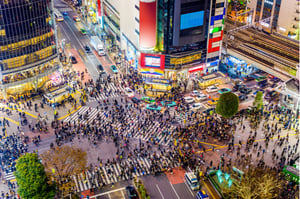 Data quality issues and potential shareholder claims in Japan